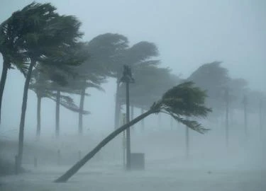 Ông Trump gọi bão Irma là "quái vật", tuyên bố thảm họa ở Florida