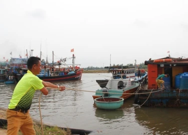 Chùm ảnh: Người dân Quảng Trị "vắt chân lên cổ" chống bão số 10