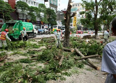 Ảnh: Chặt hạ, di chuyển 130 "cụ cây" trên đường Kim Mã