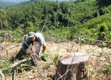 Biệt phủ gỗ quý của "sếp" kiểm lâm và việc "hô biến" đất công ở Đà Nẵng