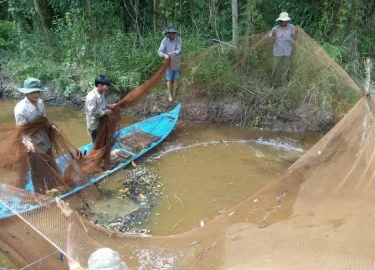 Cà Mau đề nghị ông Hải phản hồi phát ngôn 'rừng U Minh'