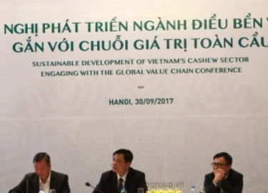 Bộ trưởng lo lắng khi hạt điều "tỷ đô" ngày càng kém hấp dẫn