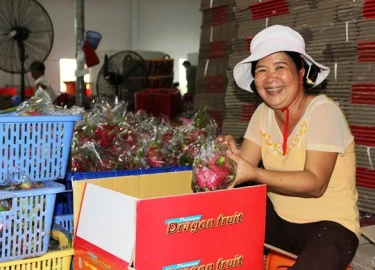 Nông sản Việt khó vào Hàn Quốc vì... cái bao bì