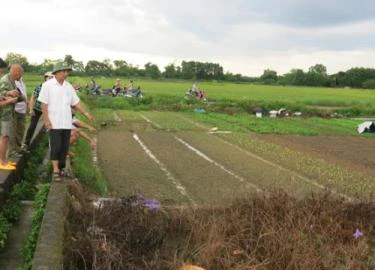 Thái Nguyên: Một phụ nữ tử vong do sét đánh khi đang làm đồng