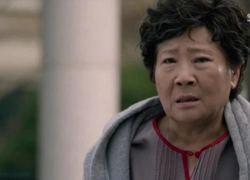 Mẹ già phải ăn cơm chan nước mắm nhưng con cái suốt ngày mua thịt ngon cho chó ăn