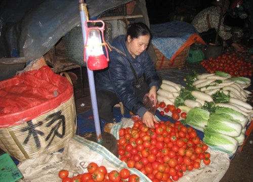 35% lao động tự do muốn tham gia bảo hiểm xã hội