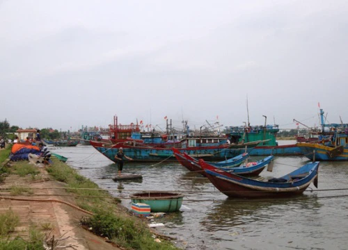 Ngư dân tìm nơi trú ẩn an toàn, tranh thủ bán cá