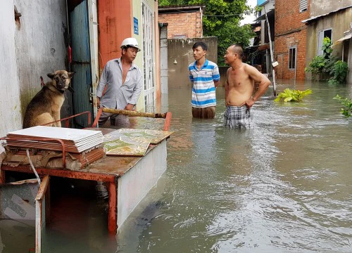 Nước ngập lênh láng, người Sài Gòn ngồi phao rời nhà