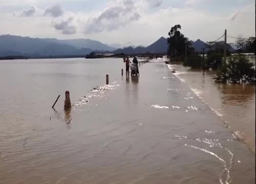 'Nước tràn đê quá nhanh, chúng tôi mất trắng rồi'