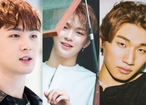 Thần tượng Kang bị bắt vì vụ xâm hại tình dục 8 năm trước: Kang Daniel, Dongho, Daesung vào vòng nghi vấn