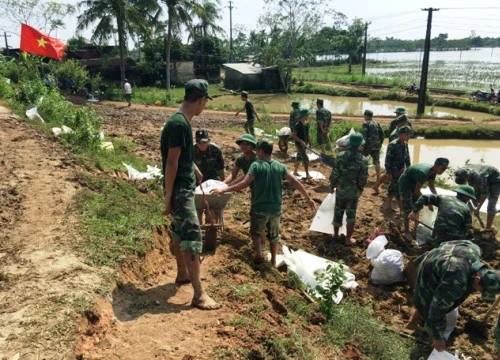 Thanh Hóa: Cả trăm bộ đội gia cố đê sông Cầu Chày ứng phó bão số 11