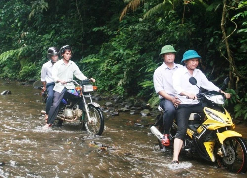 Bắt kế toán trưởng và trưởng phòng BQL Rừng phòng hộ Sông Tranh