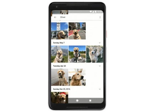 Google Photos giúp tìm nhanh ảnh thú cưng