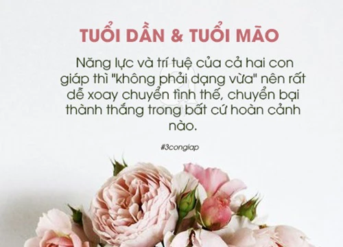 Kiểm tra xem, trong nhà mà có 3 cặp con giáp này thì "gia môn hưng vượng, tam đại phú quý"