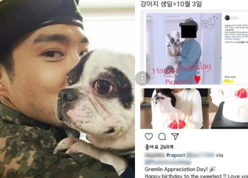 Netizen phẫn nộ vì gia đình Siwon tiếp tục thả chó, tổ chức sinh nhật cho thú cưng sau sự cố cắn CEO