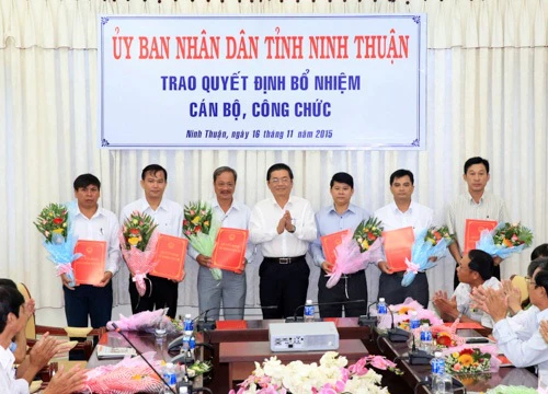 Ba năm, Ninh Thuận bổ nhiệm 53 lãnh đạo không đủ tiêu chuẩn