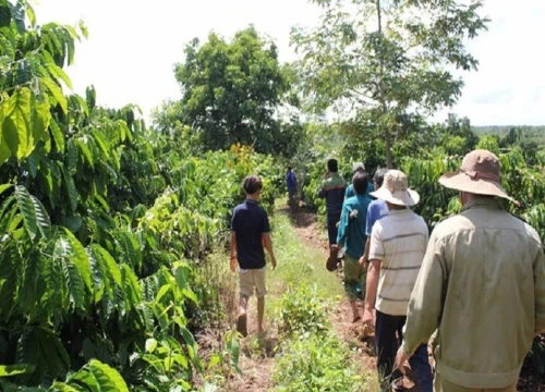 Chém "yêu râu xanh" hiếp dâm em gái, người anh trai có bị xử tù?