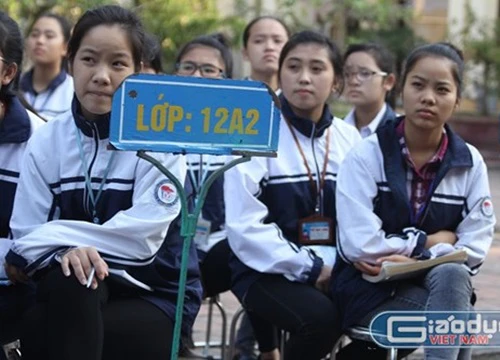 "Nhìn bảng điểm thi đại học của học trò, tôi đã bật khóc vì quá hạnh phúc"