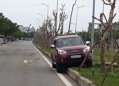 Xế hộp bay lên dải phân cách vì tông phải bò ngủ giữa đường