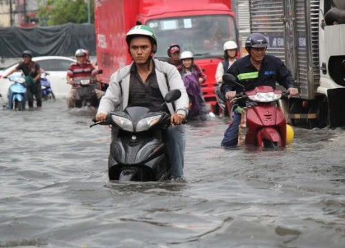 Mưa lớn kết hợp triều cường, đường Sài Gòn "không lối thoát"