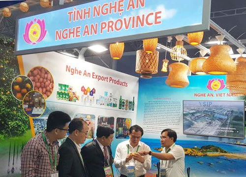 Nghệ An bố trí cán bộ giỏi ngoại ngữ giới thiệu gian hàng tại APEC