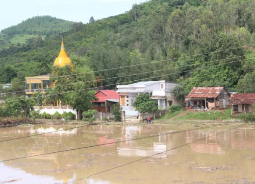 Trên 8.000 ha cây trồng gãy đổ, ngập lụt, hàng trăm căn nhà đổ sập hoàn toàn