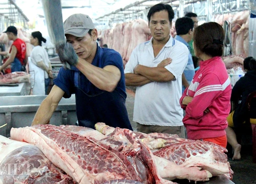 Giám đốc Sở NN TP.HCM: "Không có chuyện ưu ái cho lò mổ thủ công"