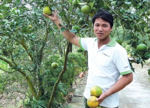 Làm giàu từ nông nghiệp: Trang trại trị giá 7 tỷ của "Dũng VAC"