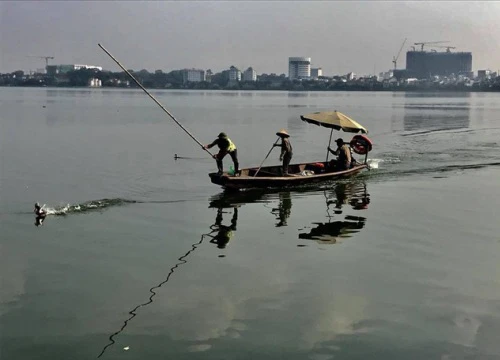 Xác minh thông tin công nhân môi trường đập vịt trời ở Hồ Tây