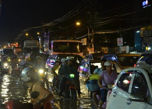 Bão chưa vào, Sài Gòn đã mưa ngập diện rộng, cây đổ la liệt