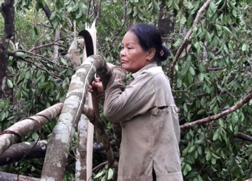 Đối phó thảm họa thiên tai: Đặt niềm tin vào cộng đồng