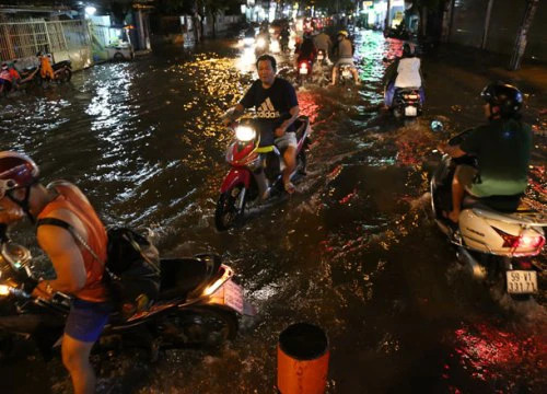 Mưa trút nước, phố SG thành sông, cây bật gốc, đường kẹt xe khủng khiếp