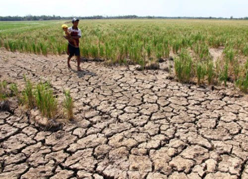 "Nên lồng ghép ứng phó biến đổi khí hậu vào chính sách giảm nghèo"