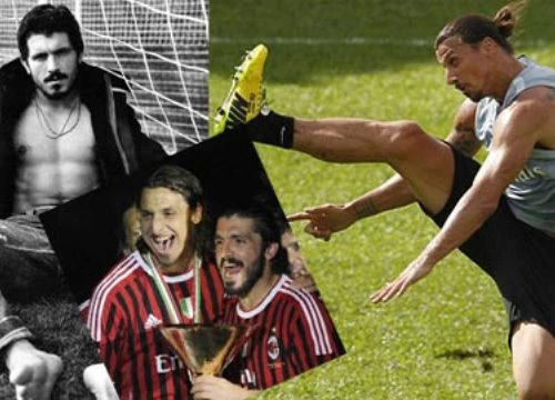 Gattuso từng bị Ibra hạ gục trên sân tập của Milan