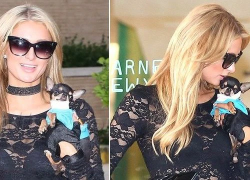 Paris Hilton trẻ trung như gái 20, ôm chó cưng đi dạo khắp phố