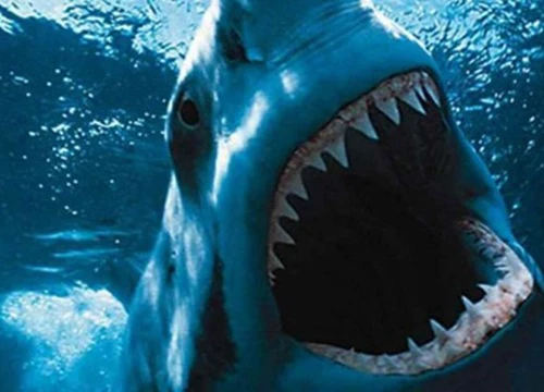 Khán giả khó quên khi lần đầu thấy quái vật biển trong 'Jaws'