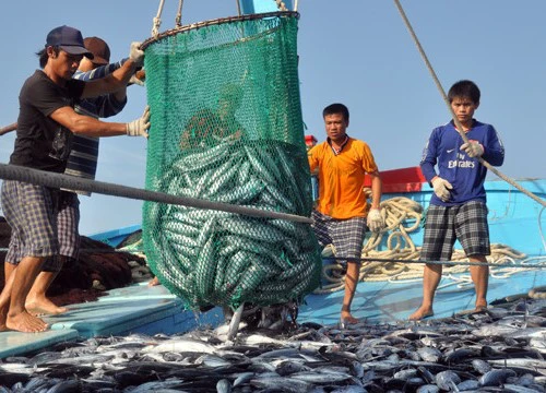 Cuối tháng 6/2018, chấm dứt tàu cá, ngư dân đánh bắt trái phép