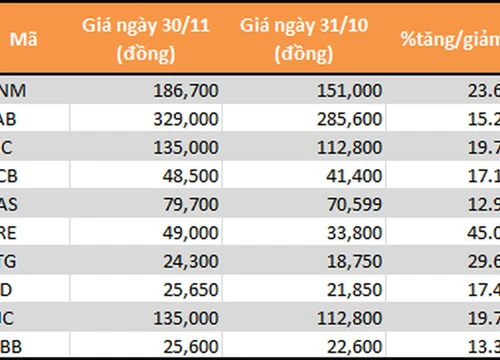 'Trúng đậm' nhờ cổ phiếu vốn hóa lớn