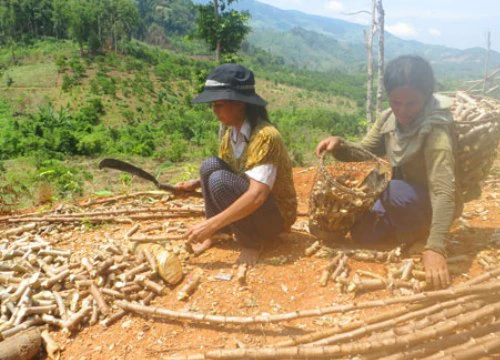 "Tín dụng đen" bóc lột ND: Chính quyền vào cuộc, dân có lối thoát