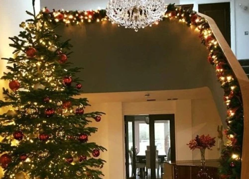 Việc nhẹ lương cao: Trang trí cây thông Noel, bỏ túi ngay 121 triệu