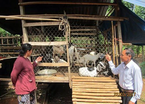 Người "vác tù và" và chuyện giảm tiêu, tăng nuôi dê ở ấp Phong Phú