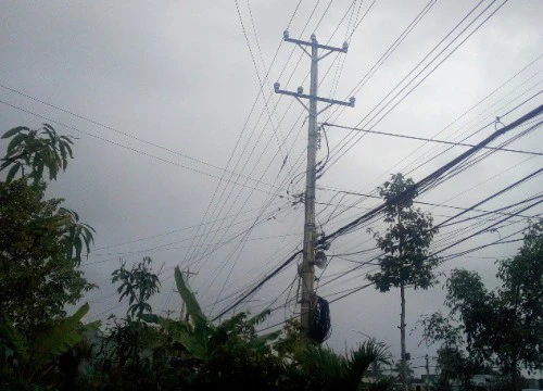 Trực 24/24h để ứng phó bão Kai-tak