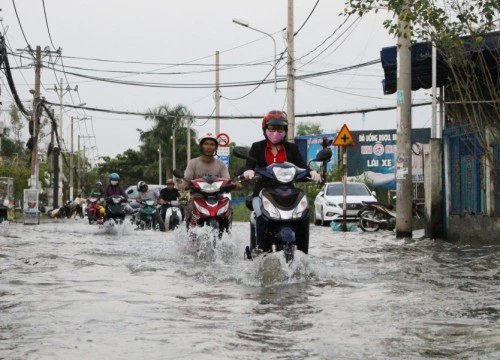 Ứng dụng thông minh "thiểu năng trí tuệ"