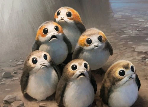 Đã tìm ra công thức tạo nên nhân vật Porgs siêu dễ thương trong "Star Wars: The Last Jedi"