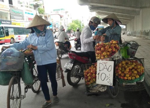 Hà Nội: Có tới 80% trái cây tại các chợ đầu mối không rõ nguồn gốc