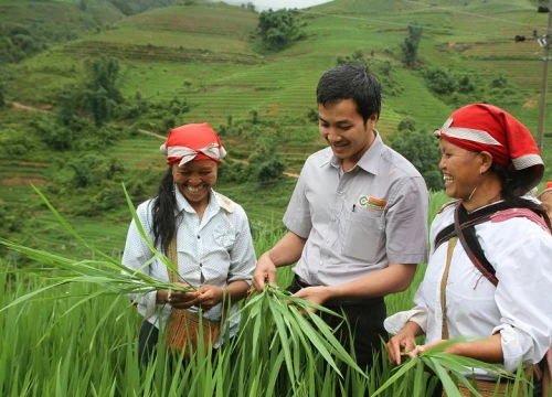 Những ngày đen tối của cổ phiếu ngành Bảo vệ Thực vật