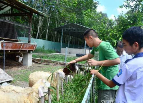 Công cụ phát hiện sớm trẻ tự kỷ