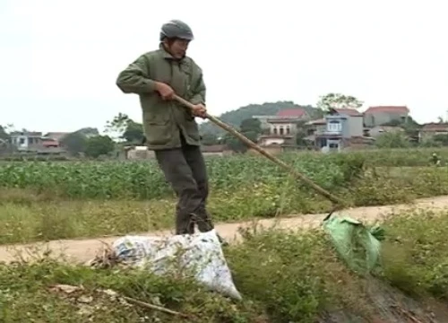 Lão nông hơn 20 năm vớt rác ở kênh mương: "Ban đầu cũng kinh lắm"