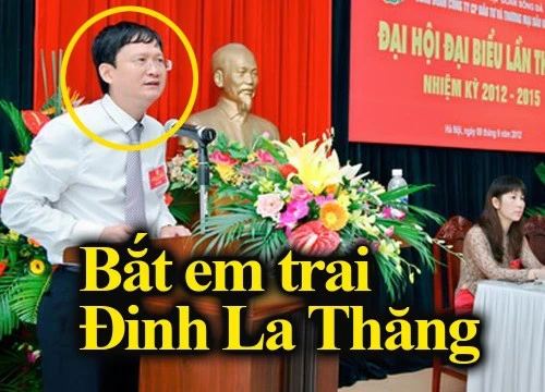 Tại sao em ruột ông Đinh La Thăng được đề nghị giảm nhẹ hình phạt?