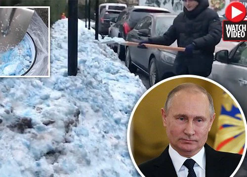 Kỳ lạ quê nhà Tổng thống Putin bị tuyết xanh bao phủ